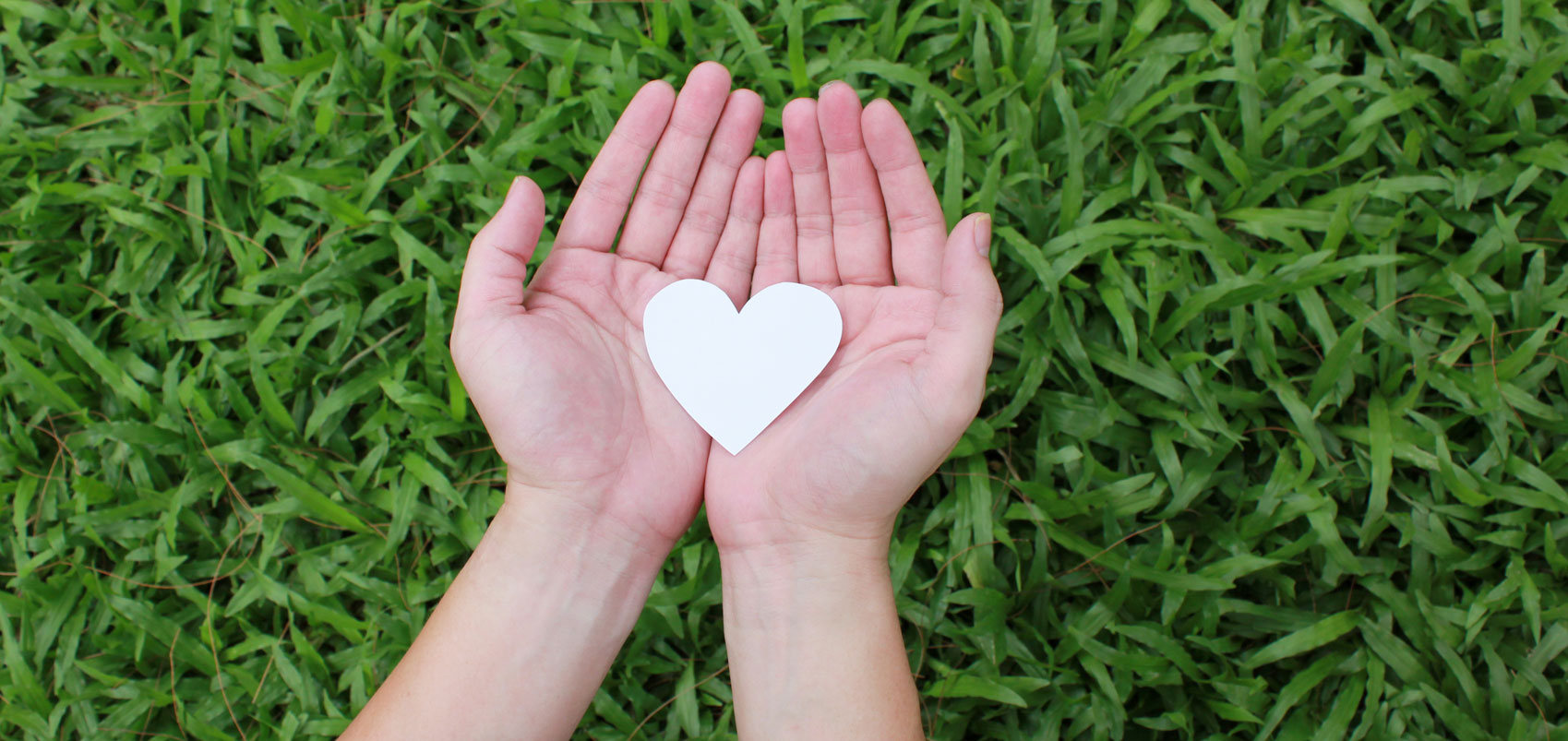 paper heart cut out in hands paper heart cut out in hands